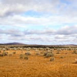 Outback Panorama.v2